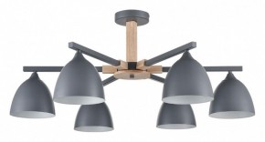Люстра на штанге Lumion Colange 8096/6C в Ижевске - izhevsk.ok-mebel.com | фото