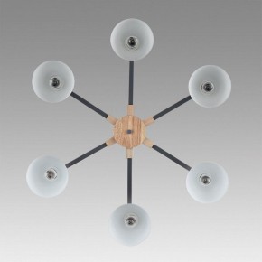Люстра на штанге Lumion Colange 8096/6C в Ижевске - izhevsk.ok-mebel.com | фото 4