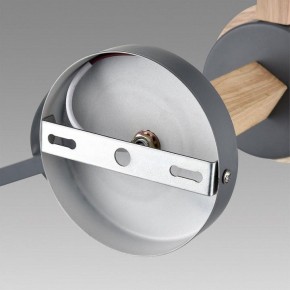 Люстра на штанге Lumion Colange 8096/6C в Ижевске - izhevsk.ok-mebel.com | фото 6