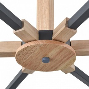 Люстра на штанге Lumion Colange 8096/6C в Ижевске - izhevsk.ok-mebel.com | фото 7