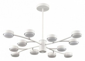 Люстра на штанге Lumion TORINA 8265/12 в Ижевске - izhevsk.ok-mebel.com | фото