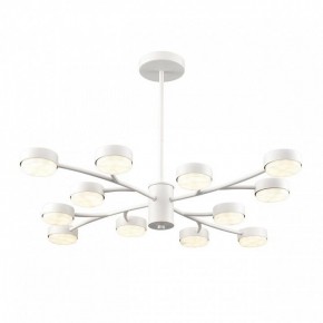 Люстра на штанге Lumion TORINA 8265/12 в Ижевске - izhevsk.ok-mebel.com | фото 2