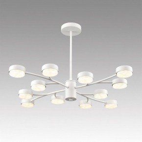 Люстра на штанге Lumion TORINA 8265/12 в Ижевске - izhevsk.ok-mebel.com | фото 3