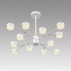 Люстра на штанге Lumion TORINA 8265/12 в Ижевске - izhevsk.ok-mebel.com | фото 5