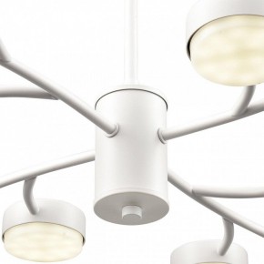 Люстра на штанге Lumion TORINA 8265/12 в Ижевске - izhevsk.ok-mebel.com | фото 8