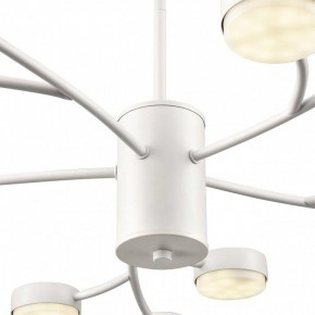 Люстра на штанге Lumion TORINA 8265/15 в Ижевске - izhevsk.ok-mebel.com | фото 8