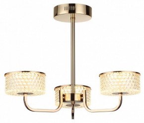 Люстра на штанге Lumion Venice 6579/40CL в Ижевске - izhevsk.ok-mebel.com | фото 5