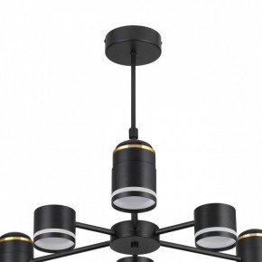Люстра на штанге Lumion Virsava 8234/6C в Ижевске - izhevsk.ok-mebel.com | фото 5