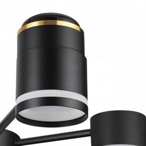 Люстра на штанге Lumion Virsava 8234/6C в Ижевске - izhevsk.ok-mebel.com | фото 8