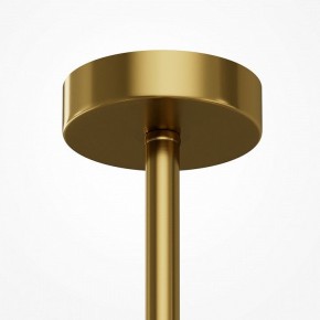 Люстра на штанге Maytoni Museo MOD436PL-07BS в Ижевске - izhevsk.ok-mebel.com | фото 5