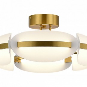 Люстра на штанге ST-Luce ETOILE SL1304.302.45 в Ижевске - izhevsk.ok-mebel.com | фото 4