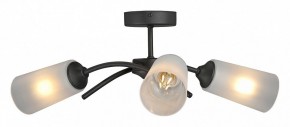 Люстра на штанге Vitaluce V2850 V2850-1/3PL в Ижевске - izhevsk.ok-mebel.com | фото