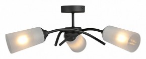 Люстра на штанге Vitaluce V2850 V2850-1/3PL в Ижевске - izhevsk.ok-mebel.com | фото 3