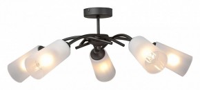 Люстра на штанге Vitaluce V2850 V2850-1/5PL в Ижевске - izhevsk.ok-mebel.com | фото