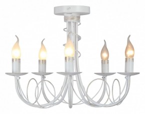 Люстра на штанге Vitaluce V3035 V3035-0/5PL в Ижевске - izhevsk.ok-mebel.com | фото 2