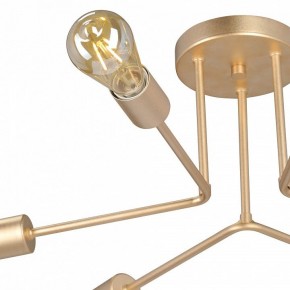 Люстра на штанге Vitaluce V3071 V3071-8/6PL в Ижевске - izhevsk.ok-mebel.com | фото 6