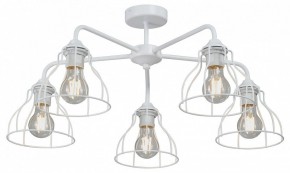 Люстра на штанге Vitaluce V3102 V3102-0/5PL в Ижевске - izhevsk.ok-mebel.com | фото