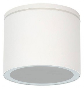 Накладной светильник Arte Lamp Piautos A1913PF-1WH в Ижевске - izhevsk.ok-mebel.com | фото