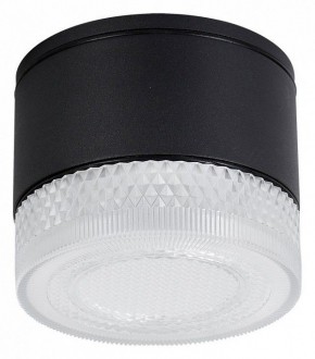 Накладной светильник Arte Lamp Piautos A1926PF-1BK в Ижевске - izhevsk.ok-mebel.com | фото