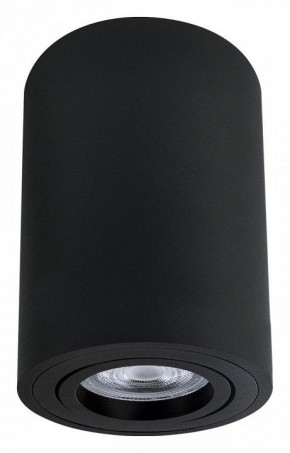 Накладной светильник Arte Lamp Sentry A1566PL-1BK в Ижевске - izhevsk.ok-mebel.com | фото