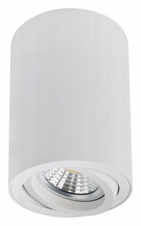 Накладной светильник Arte Lamp Sentry A1566PL-1WH в Ижевске - izhevsk.ok-mebel.com | фото