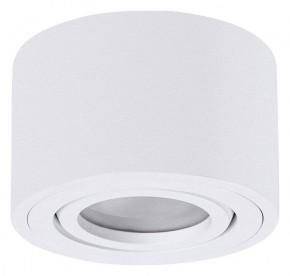 Накладной светильник Arte Lamp Unito A0550PL-1WH в Ижевске - izhevsk.ok-mebel.com | фото