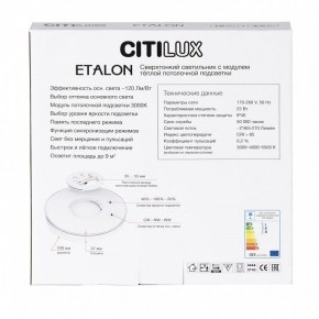 Накладной светильник Citilux Etalon CL750240 в Ижевске - izhevsk.ok-mebel.com | фото 8