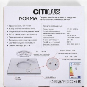 Накладной светильник Citilux Norma CL748K301 в Ижевске - izhevsk.ok-mebel.com | фото 8