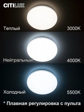 Накладной светильник Citilux Симпла CL714330G в Ижевске - izhevsk.ok-mebel.com | фото 4