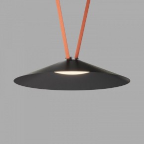 Накладной светильник Denkirs Belty Flow DK5569-BK в Ижевске - izhevsk.ok-mebel.com | фото
