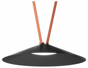 Накладной светильник Denkirs Belty Flow DK5668-BK в Ижевске - izhevsk.ok-mebel.com | фото