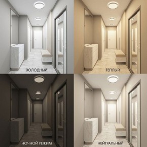Накладной светильник Denkirs PLATO DK6510-WH в Ижевске - izhevsk.ok-mebel.com | фото 2