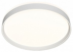 Накладной светильник Denkirs PLATO DK6511-WH/1 в Ижевске - izhevsk.ok-mebel.com | фото