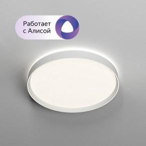 Накладной светильник Denkirs PLATO DK6511-WH/1 в Ижевске - izhevsk.ok-mebel.com | фото 3