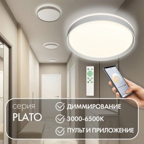 Накладной светильник Denkirs PLATO DK6511-WH/1 в Ижевске - izhevsk.ok-mebel.com | фото 4