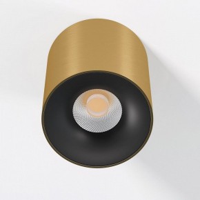 Накладной светильник Elektrostandard Primo 25116/LED в Ижевске - izhevsk.ok-mebel.com | фото
