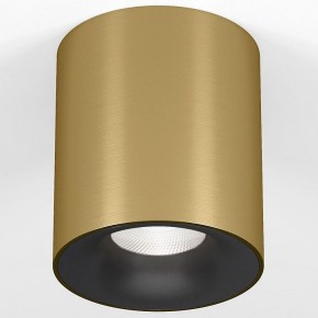 Накладной светильник Elektrostandard Primo 25116/LED в Ижевске - izhevsk.ok-mebel.com | фото 2