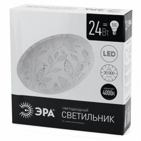 Накладной светильник Эра Классик SPB-6-24-4K (C) в Ижевске - izhevsk.ok-mebel.com | фото 4