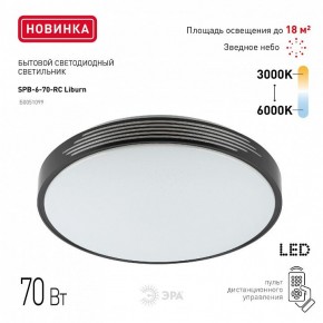 Накладной светильник Эра Классик SPB-6-70-RC Liburn в Ижевске - izhevsk.ok-mebel.com | фото 10