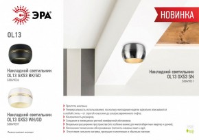 Накладной светильник Эра OL13 GX53 SN Б0049031 в Ижевске - izhevsk.ok-mebel.com | фото 5