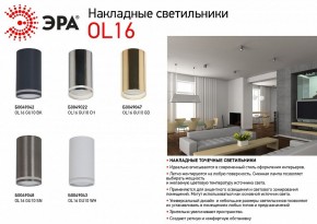 Накладной светильник Эра OL16 GU10 BK Б0049042 в Ижевске - izhevsk.ok-mebel.com | фото 3