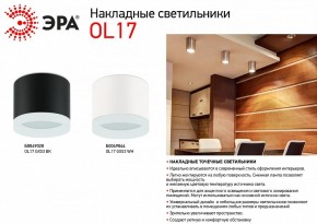 Накладной светильник Эра OL17 GX53 BK Б0049028 в Ижевске - izhevsk.ok-mebel.com | фото 3