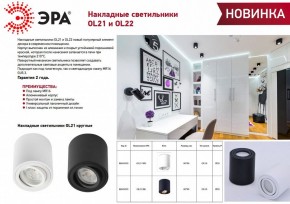 Накладной светильник Эра OL21 BK Б0054393 в Ижевске - izhevsk.ok-mebel.com | фото 2