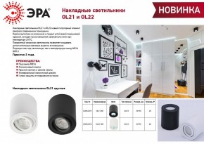 Накладной светильник Эра OL22 BK Б0054395 в Ижевске - izhevsk.ok-mebel.com | фото 3