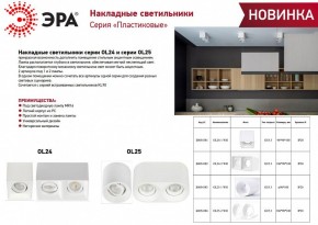 Накладной светильник Эра OL24-1 WH Б0054381 в Ижевске - izhevsk.ok-mebel.com | фото 2