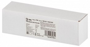 Накладной светильник Эра  TRM-S5-1-6W4K-WH в Ижевске - izhevsk.ok-mebel.com | фото 6
