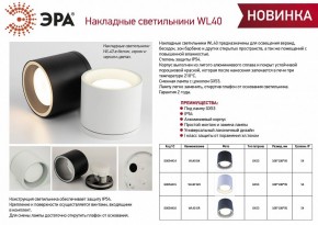 Накладной светильник Эра WL40 GR Б0054416 в Ижевске - izhevsk.ok-mebel.com | фото 3