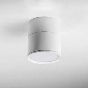 Накладной светильник Lightstar Acuto 215886 в Ижевске - izhevsk.ok-mebel.com | фото 3