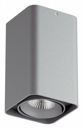 Накладной светильник Lightstar Monocco 052139-IP65 в Ижевске - izhevsk.ok-mebel.com | фото