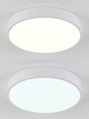 Накладной светильник Natali Kovaltseva  LED LAMPS 81111/5C в Ижевске - izhevsk.ok-mebel.com | фото 4